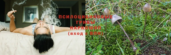трава Армянск