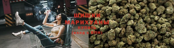 крисы Аркадак