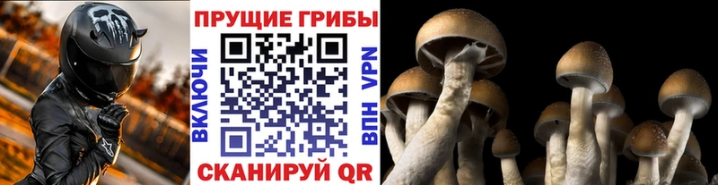 ссылка на мегу ссылка  Асбест  Псилоцибиновые грибы мицелий  цены наркотик 